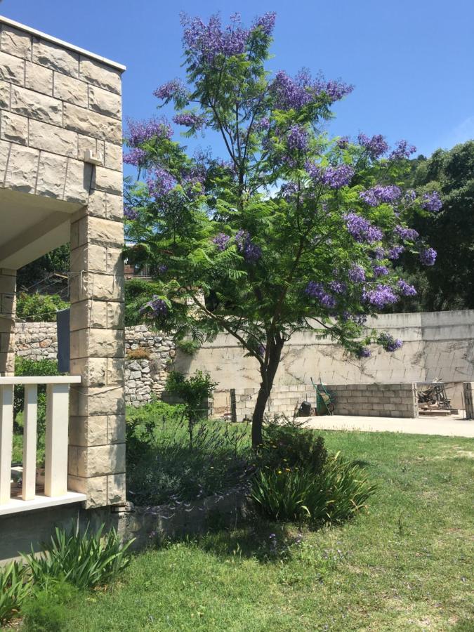 Apartmani Domenika Žuljana Zewnętrze zdjęcie
